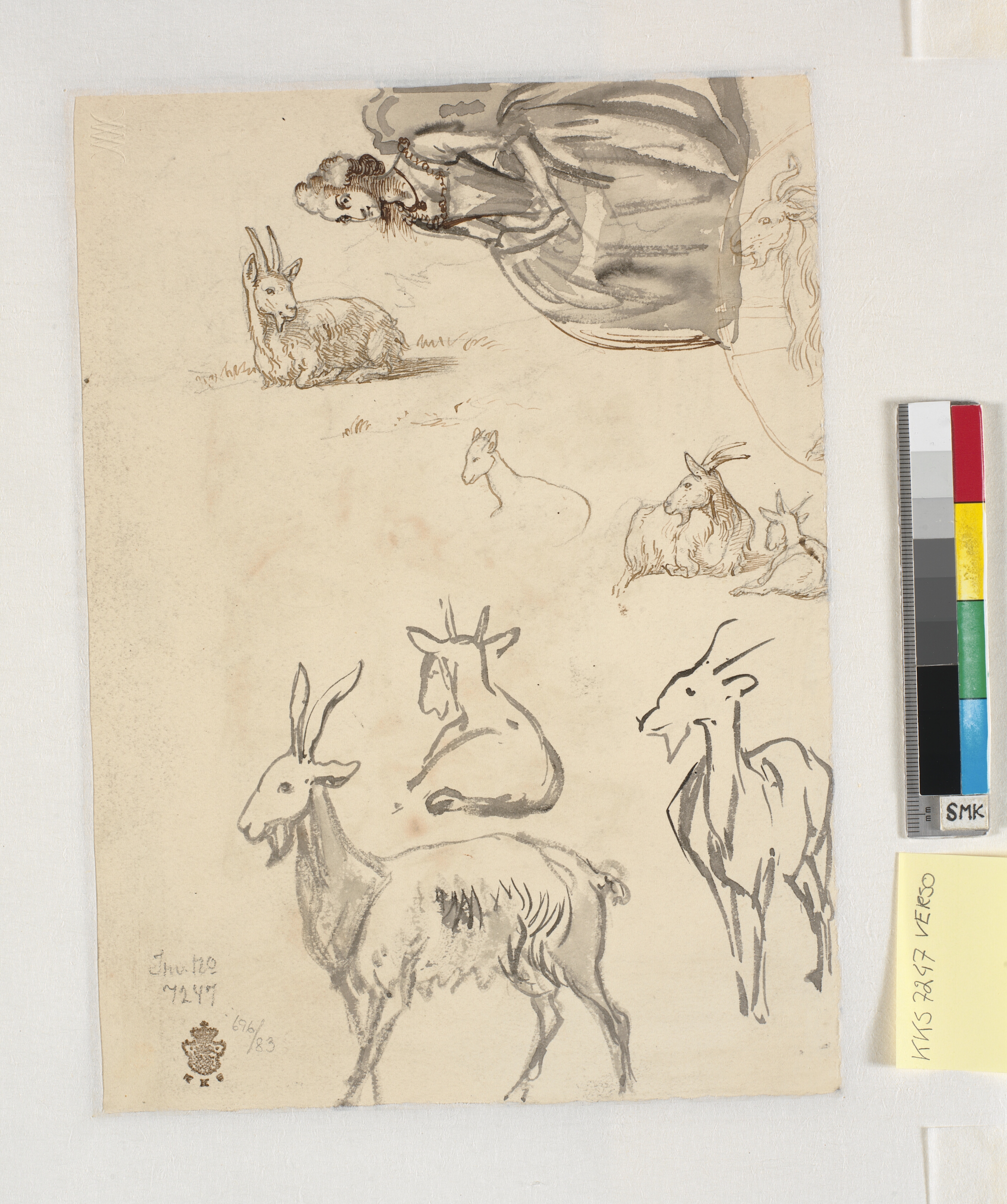 Geder, siddende rokokodame